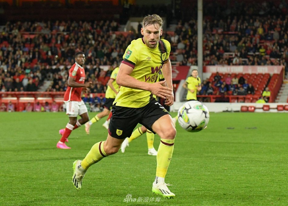 他们或许正 他们或许正