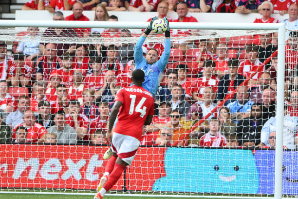 琴馬拉松延 琴馬拉松延